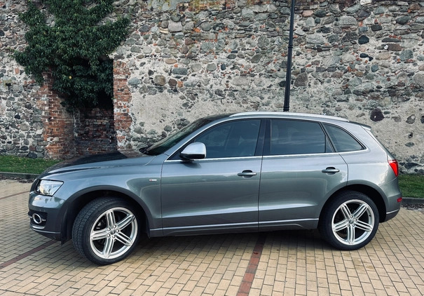 Audi Q5 cena 56000 przebieg: 225000, rok produkcji 2012 z Żary małe 436